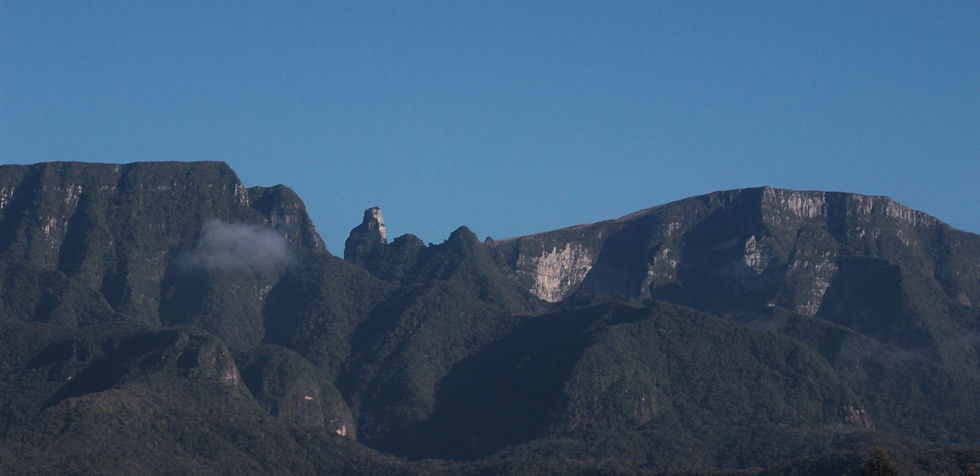 IMG_2366_corte-menor.jpg