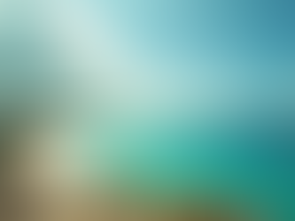 Mejores propiedades de alquiler en Costa Yucatán