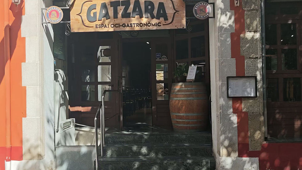 Gatzara_Wix_musica.mp4