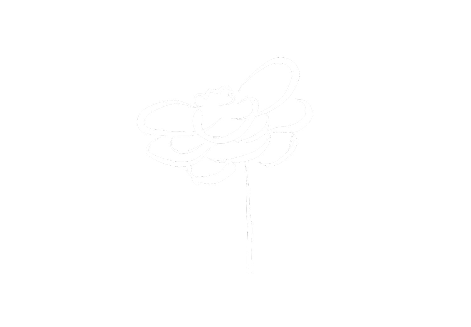 flower.gif