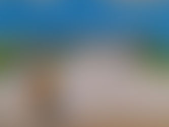 ふしぎなともだち