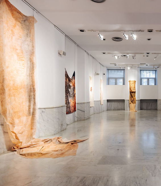 IMPRONTA. Tierra, carne y otras superfices_Rafael Garrido_Alumbra Rural (4).jpg