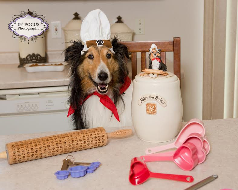 Sheltie with custom dog treat jar