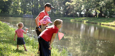 Pond-Gazing.jpg