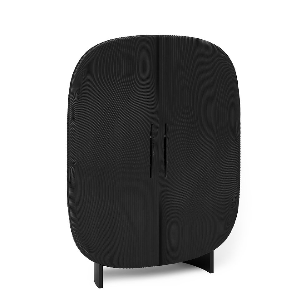 Immensity Cabinet.jpeg