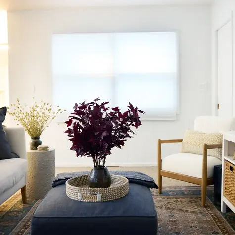 Warm and welcoming media lounge designed for comfort, connection, and everyday enjoyment.