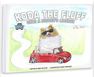 koda book preview copy.JPG