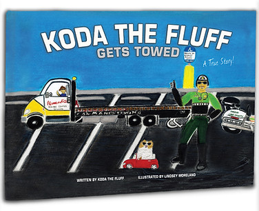 Book cover for display.jpg