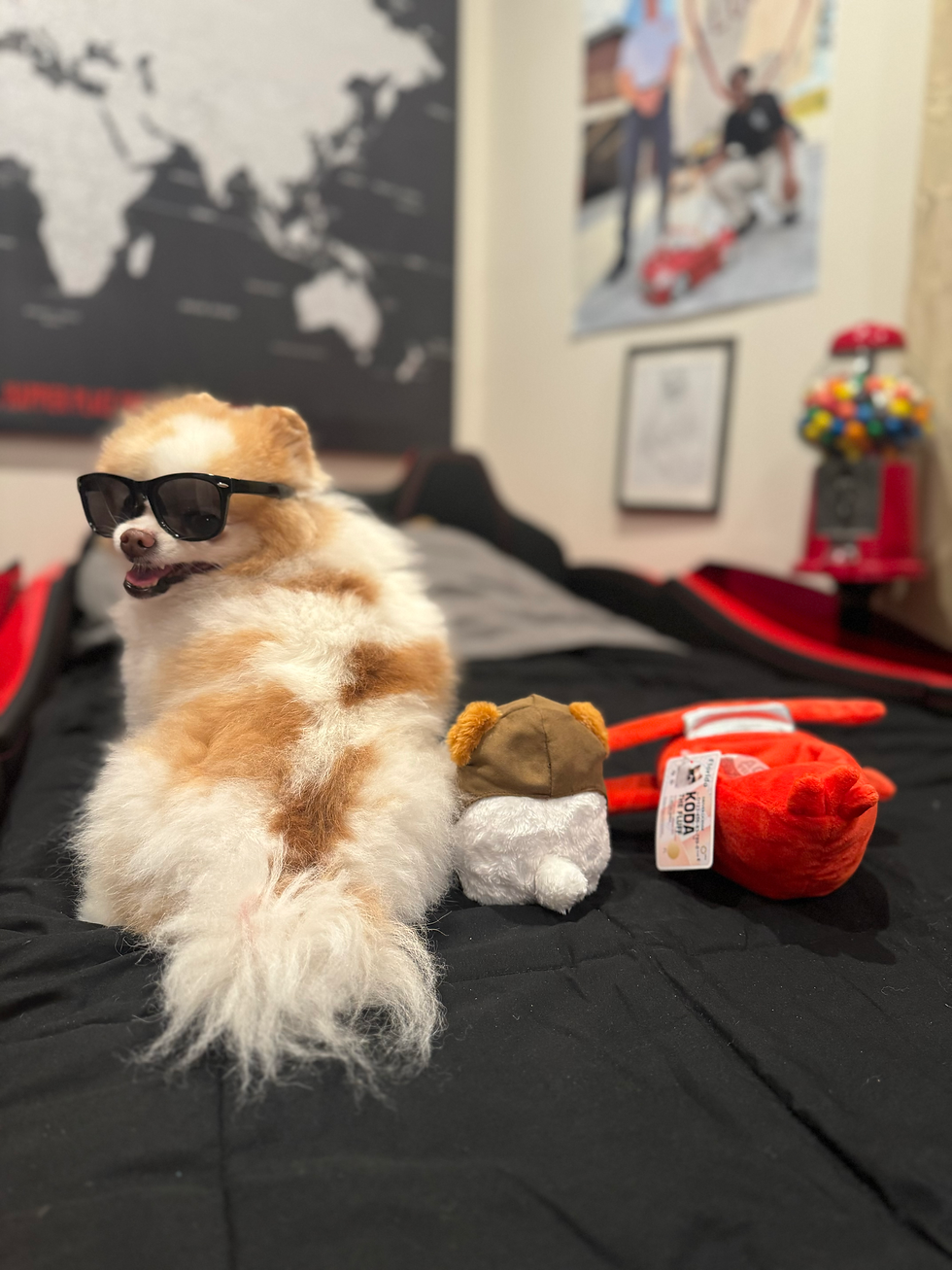 Thumbnail: DONATE an Airplane Stuffy