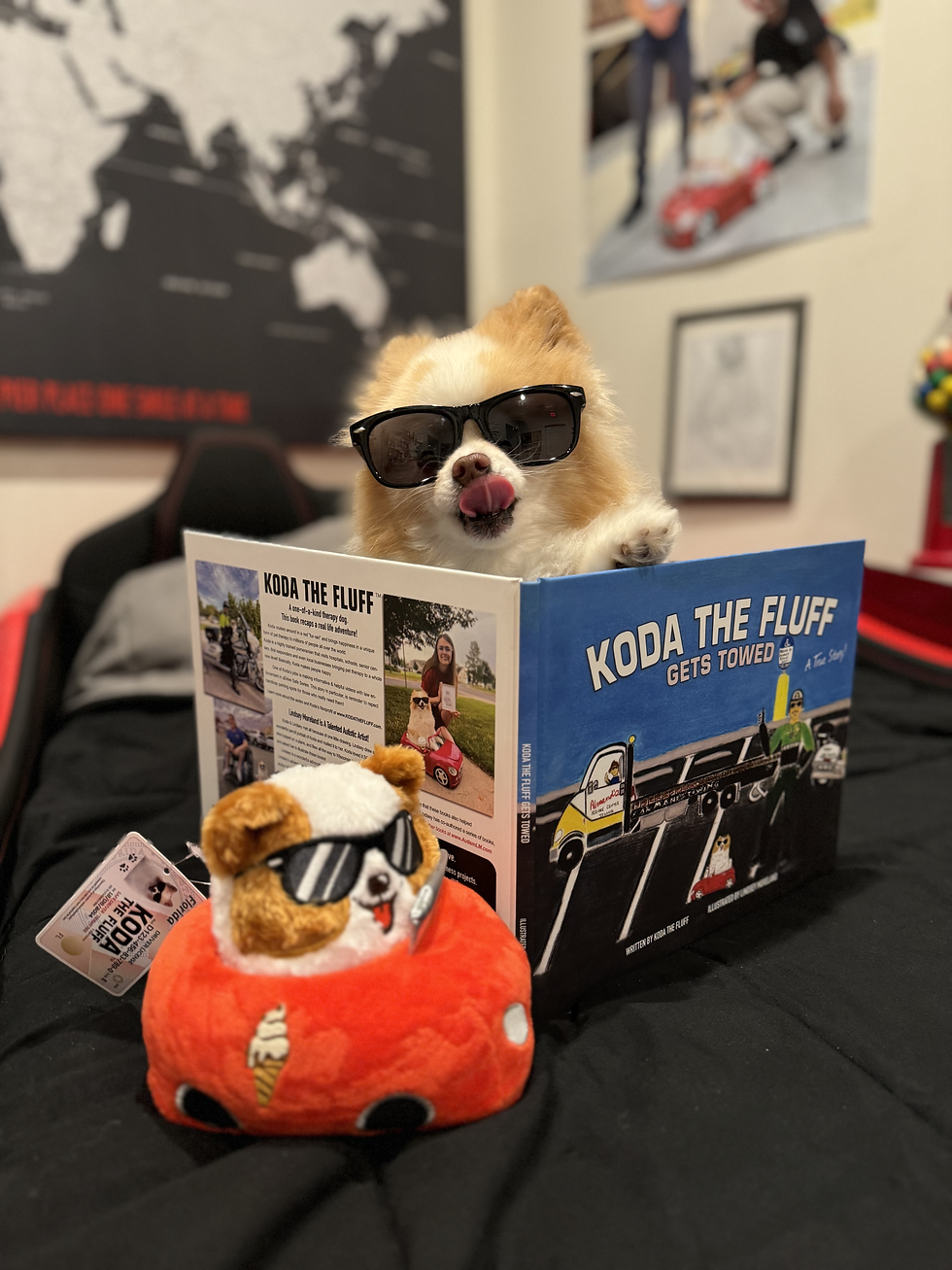 Thumbnail: Book & Stuffy Bundle