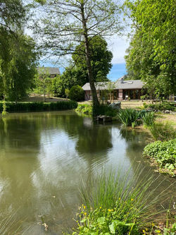 Etang