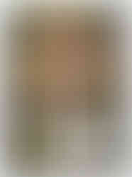 Nami Tournament Winner PR004