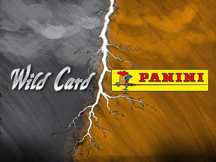 Wild Card Files Lawsuit Against Panini Alleging Anti-Competitive Practices