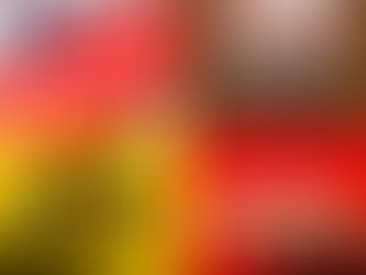 Card Retailers Halt PSA Submissions Amid Buyback Scandal