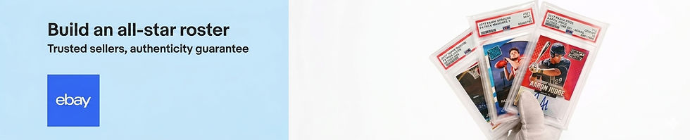 eBay ads banner Slab-Z.jpg