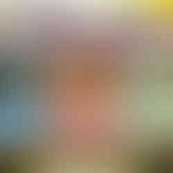 1996 Pokemon No Rarity Vintage