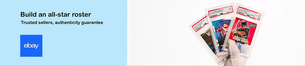 eBay Collection Slab-Z banner ads.jpg