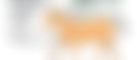 あけましておめでとうございます(2026)