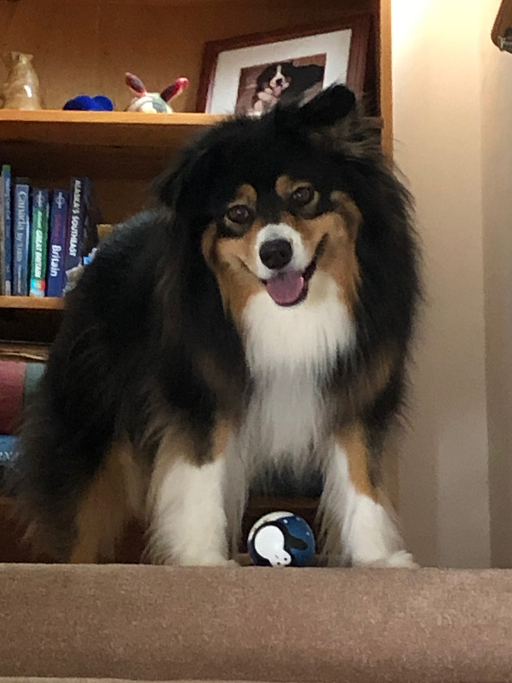 Tyche, 2019