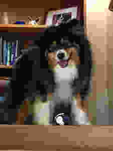 Tyche, 2019