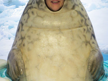 The importance of blubber