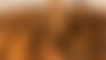 Why Hand-Polished Meghalaya Cinnamon Is Superior to Factory-Processed Cinnamon