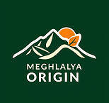 Meghalaya Origin 🏔️__Minimal premium flat vector icon, modern corporate branding, clean g