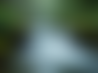 Mastering the Art of Cinemographs: Tips for Creating Stunning Animated Images