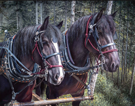 Original Painting, Two Black Percherons
