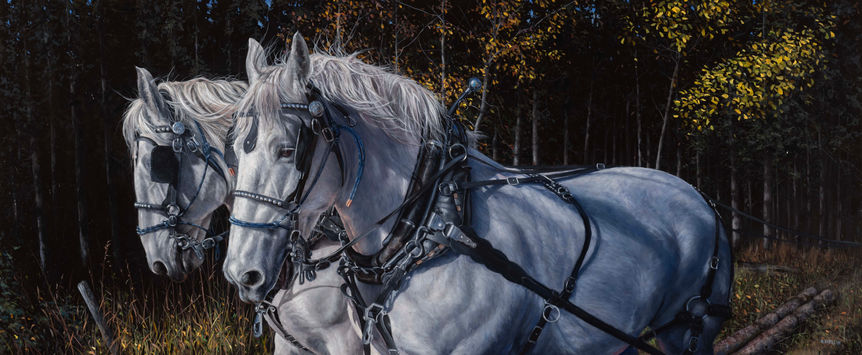 two grey percherons driving