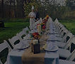 Backyard Wedding_edited.jpg