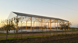 P_20170424_182258_HDR