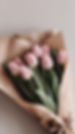 best organic non toxic luxury nail salon charlotte, NC
