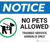 no pets allowed.jpeg