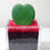 Miniature : COEUR D’HOYA MEDIUM