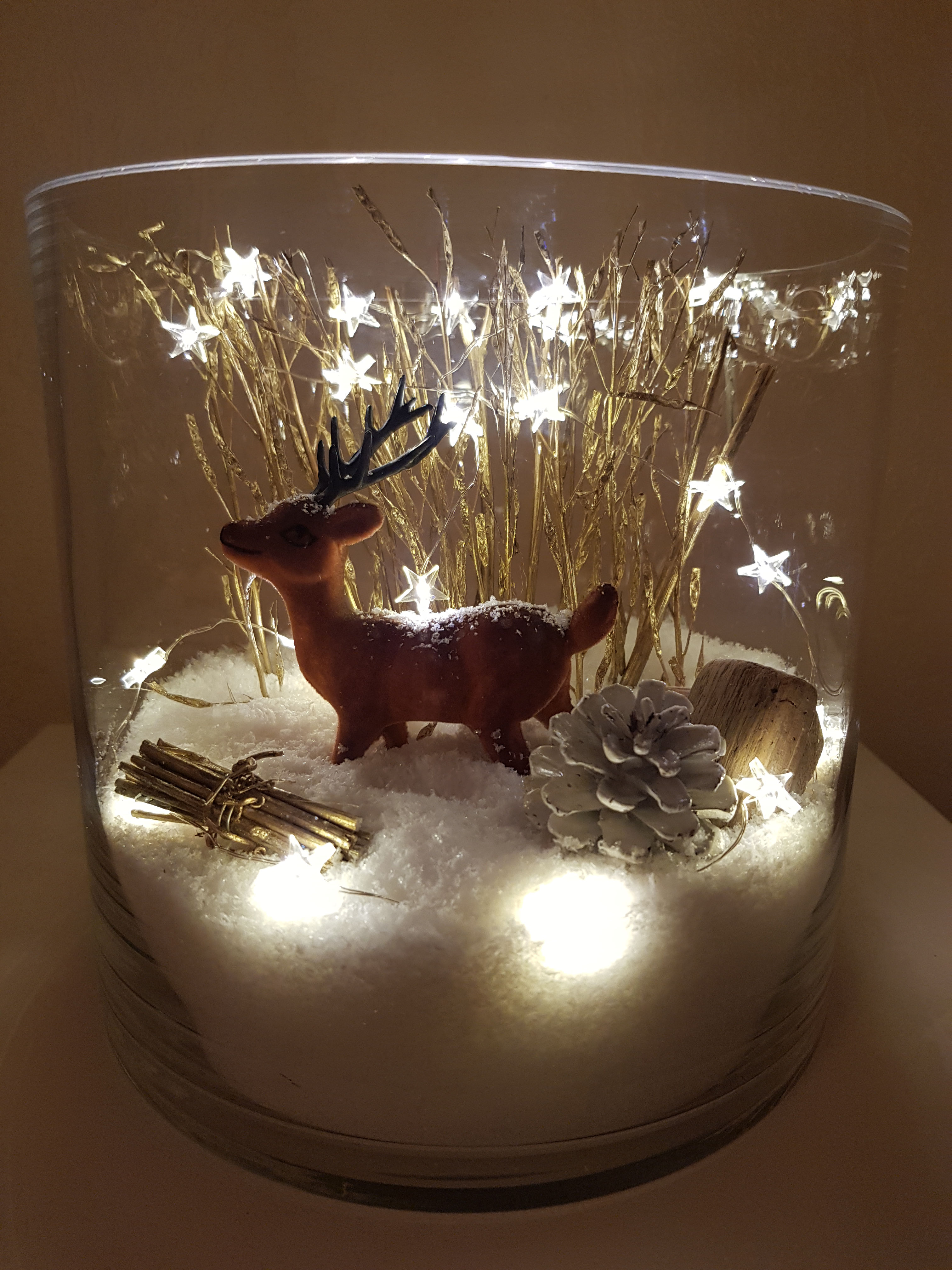 TERRARIUM DE NOËL