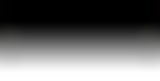 fundo4_edited.png