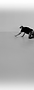 Fundo 7.png