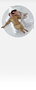 Fundo8.png