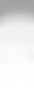 Fundo Stelion 3.png