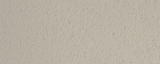 Fundo leona.png