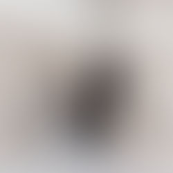 graças à nossa cooperação intensa superamos à nós mesmos.