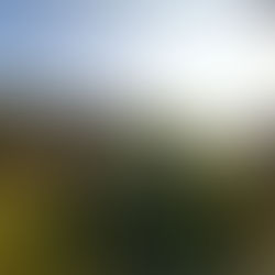 We need to support Law Enforcement and Recognise Equality and Fairness regardless of Ethnicity/Religion