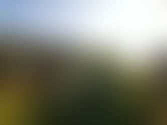 We need to support Law Enforcement and Recognise Equality and Fairness regardless of Ethnicity/Religion