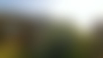 We need to support Law Enforcement and Recognise Equality and Fairness regardless of Ethnicity/Religion