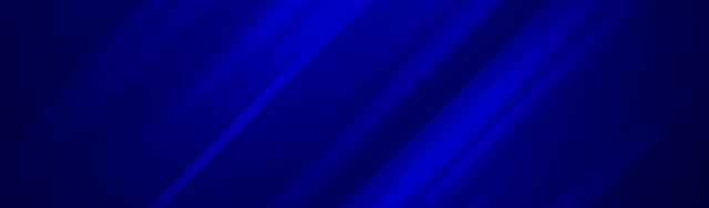 607 fortnite series nea