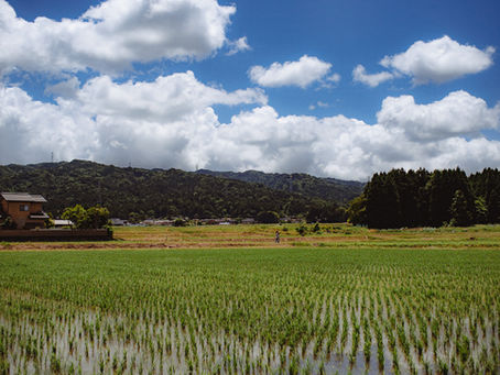 野球選手が潮干狩りをしているように見えるのはなぜか ～ 誤認と錯覚は必ず起こる ～