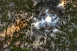 9. Setting sun in the Forest Hill Park lake waters.