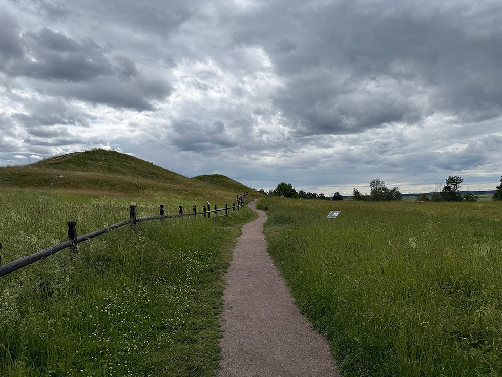 Barrows in Gamla Uppsala that legends say hold the remains of Thor, Odin and Freyj