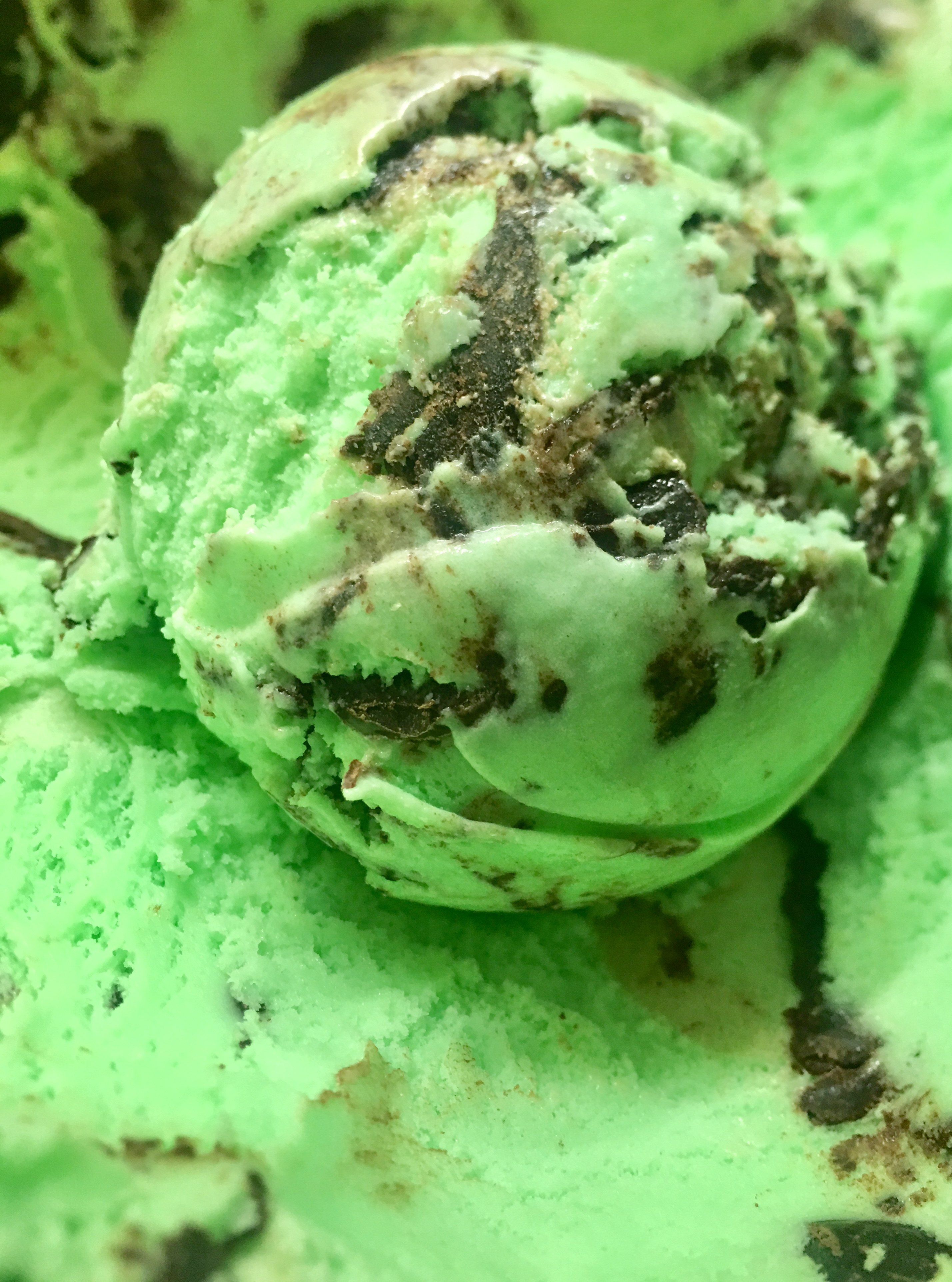Mint Moose Tracks